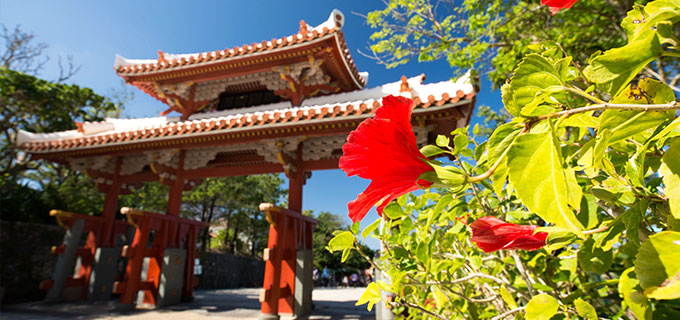 8月の沖縄旅行気温・服装・料金は？おすすめのアクティビティ 徹底ガイドアクティビティジャパン