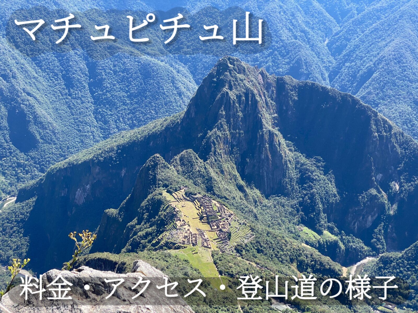 マチュピチュ展」