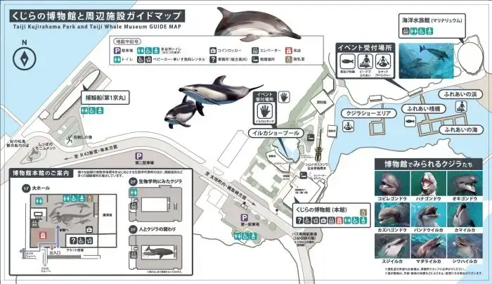 太地くじら浜公園 アクセス・営業時間・料金情報 - じゃらんnet