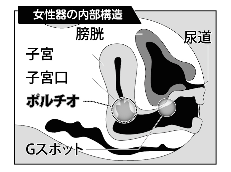 処女初恋！ガチ恋スイッチ(ポルチオ)肉棒で押されちゃう♥︎ - DLチャンネル みんなで作る二次元情報サイト！