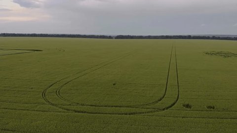 有線ドローンで一変するウクライナの戦場 - WSJ