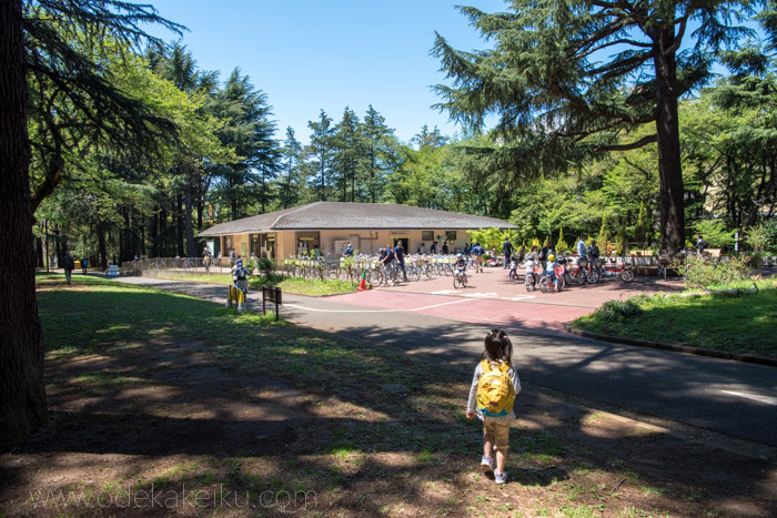 代々木公園 東京都渋谷区 緑地エリアとスポーツエリア│公園図鑑