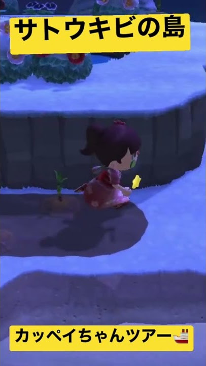 そだったサトウキビあつまれどうぶつの森あつ森コーデ