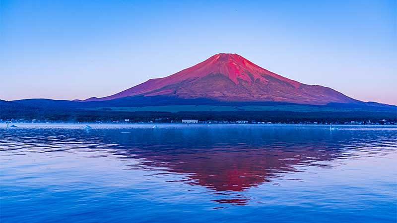 JALパックお盆・夏休みの旅行におすすめ！海外旅行特集 2025年