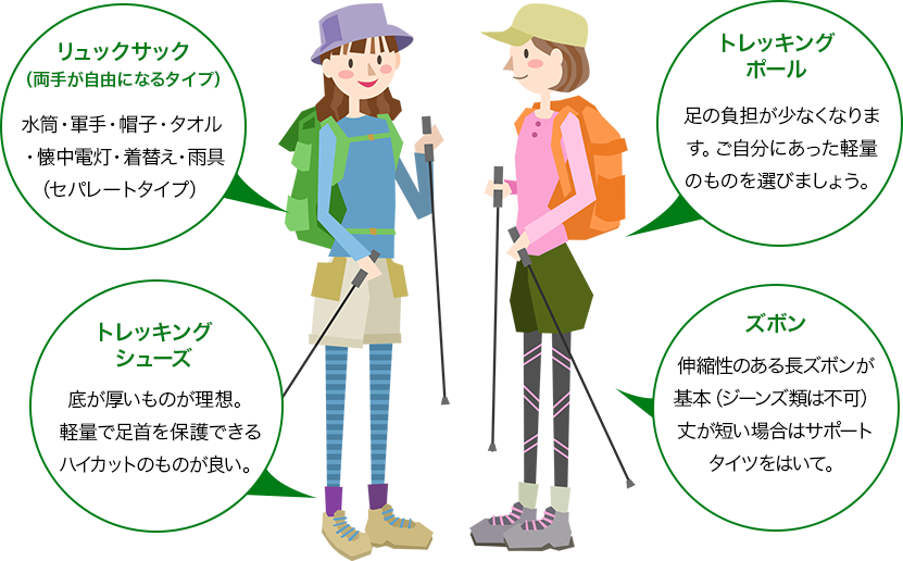 夏のお勧めコース屋久島ガイド旅楽 たびら