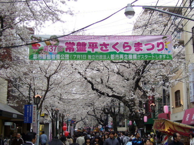 フラージュ常盤平さくら通り千葉県マンションライブラリー by長谷工の仲介