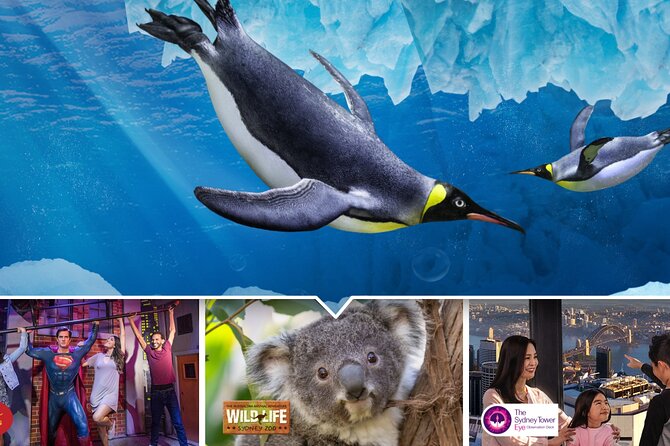 シーライフ シドニー水族館Go City ®