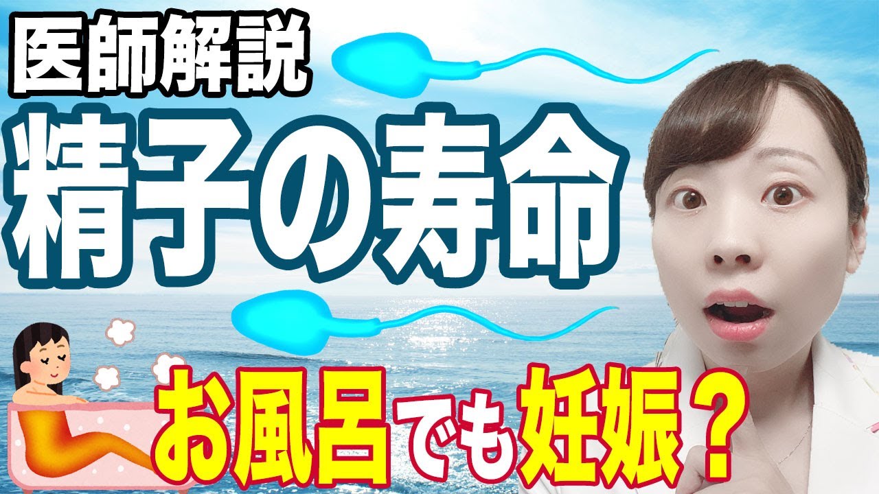 犬の人工授精キッ 犬の精液採取スリーブ 小型、中型、大型犬用交配ツール、人工授精ピペット、犬の精液採取キット :