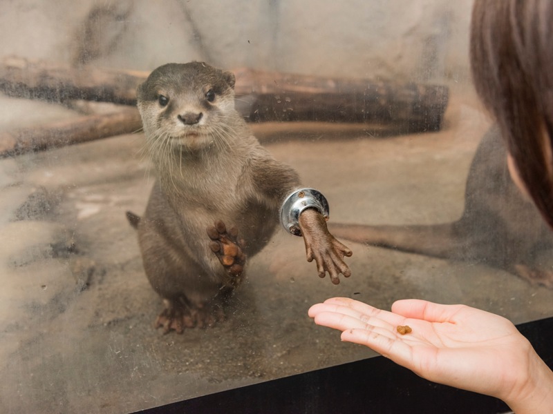 日本一危険な動物園”ノースサファリサッポロ最後の営業日園内に残る300匹以上の“行き先”は「細心の注意払い解決したい」 FNNプライムオンライン ｄメニューニュース