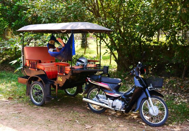 楽天市場限定1台お得！ EVトゥクトゥク MEI 側車二輪