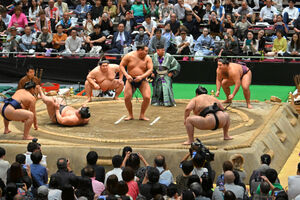 ラグビー日本代表、酔って交通事故 事故の概要に「ツッコミどころが多すぎる」 –