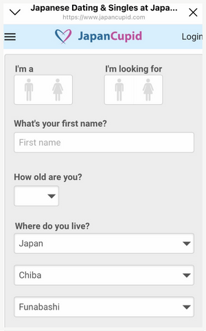 JapanCupid: an overview of