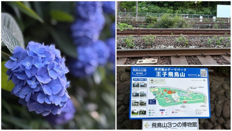 飛鳥の小径のアジサイ アクセス・営業時間・料金情報 - じゃらんnet