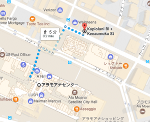 家族でハワイ㉛ 8月21日：この～木なんの木？私の旅の作り方