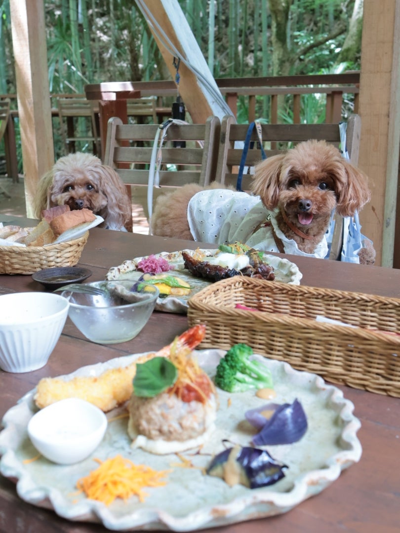 2025最新 インスタ映えはココ！近畿・関西地方の人気自然食・薬膳ランキングTOP30RETRIP リトリップ