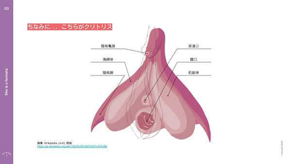 腟は締まっているほうが、男性は気持ちいいの？セックスにまつわる誤解を【性の専門家】が解説！」の画像/動画一覧(1枚目) | ヨガジャーナルオンライン