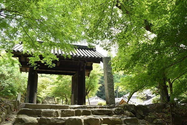 秋月さるきマップＴＯＰ画面