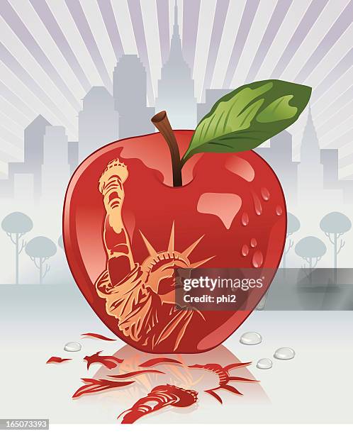 ニューヨーク・ビッグ・アップル・パスを買った理由と選んだスポット彩り玉手箱