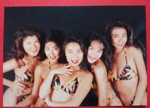 T-バックス写真集 T-backs(帯付き)/鎗田直美・千葉佳代子・佐藤恵子・菅沼いつみ・紺野樹里の落札情報詳細 - 