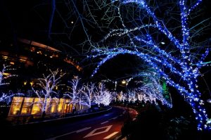 クリスマスイルミネーション ～東京ドームシティ～赤坂陽光ホテル 公式 赤坂駅徒歩5分・六本木徒歩約10分