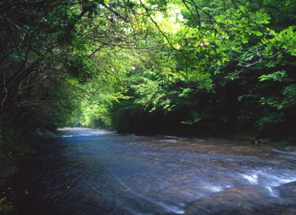 暑い夏におすすめ！岳切渓谷 沢歩き✨夏の避暑地に最適✨ 岳切渓谷は、耶馬渓溶岩が造った大きな一枚岩の岩盤の上を、清らかな水が流れる渓谷です✨一枚岩の岩盤は、約2kmの水流遊歩道ともなっており、全国的にも珍しい沢歩きが体験できます😊 コテージやバンガロー