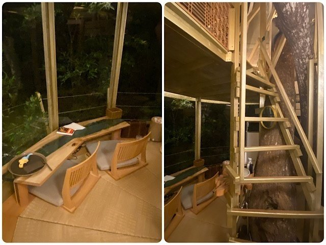 お部屋ツリーフルツリーハウスサステイナブルリゾート