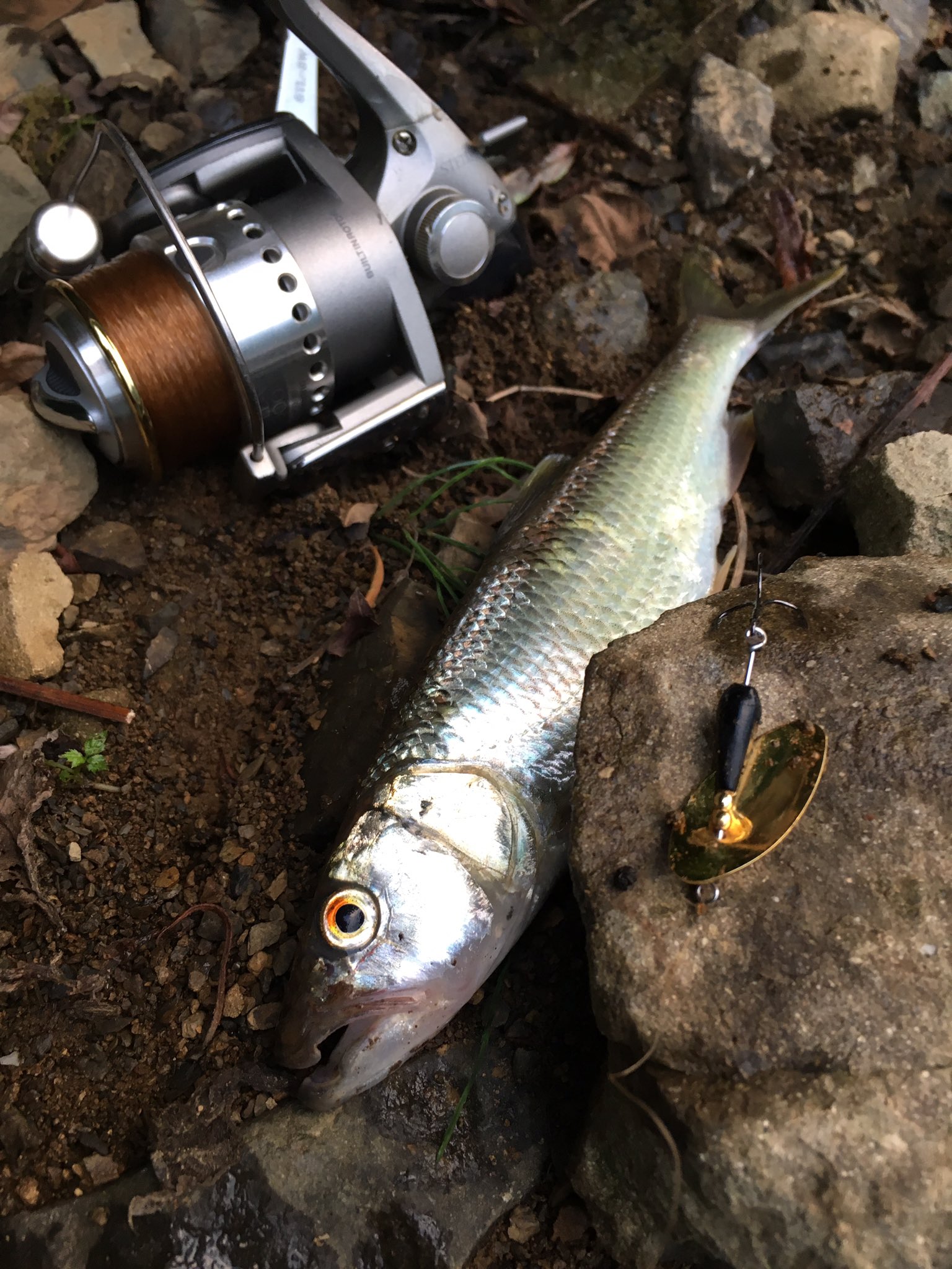 奥多摩湖の釣り人 - アングラーズ釣果600万件の魚釣り情報サイト