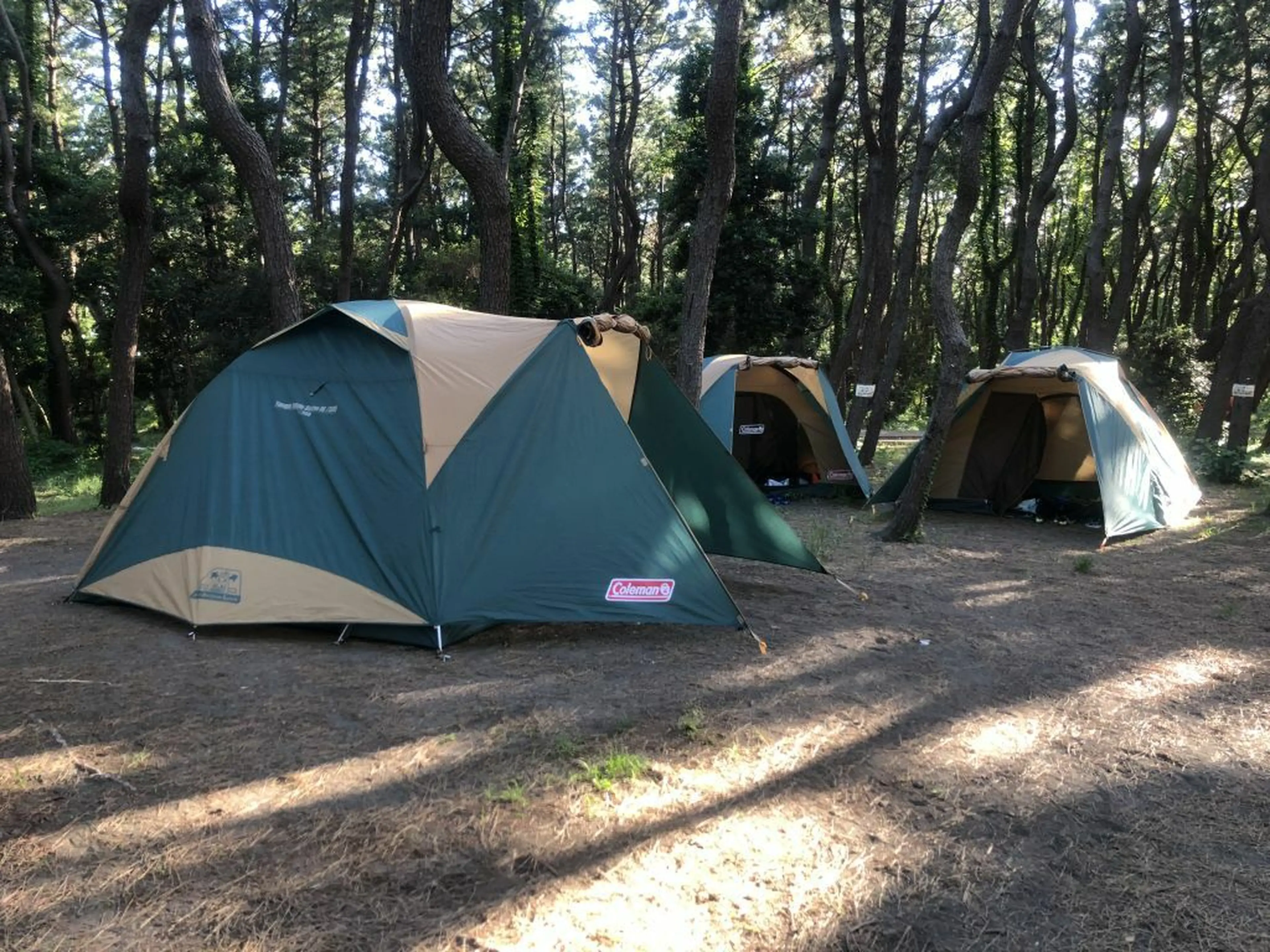 神奈川から徒歩で行けるおすすめキャンプ場5選！ 徒歩キャンプ マウンテンシティメディア