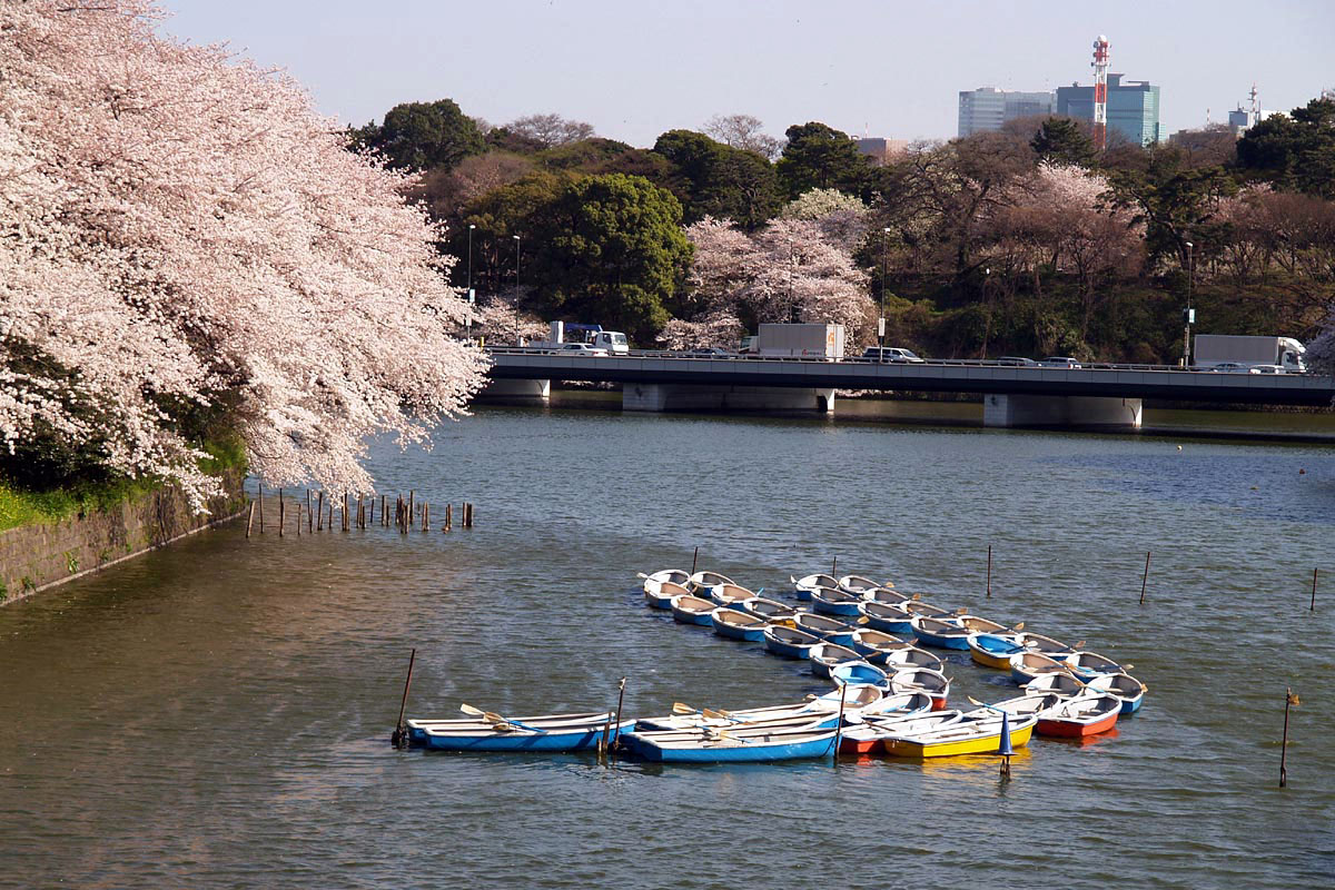 2023.03.30 thu 以前から行きたかった 千鳥ヶ淵のボートにも乗ってきた🌸🍃 上野よりも広くて桜並木が綺麗♪✨