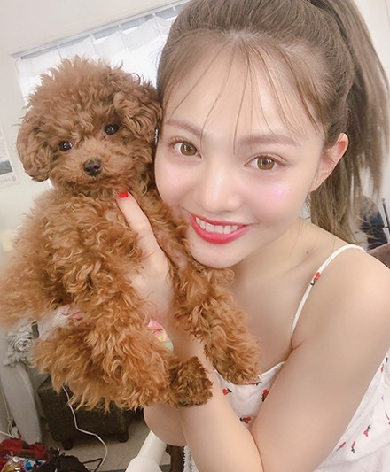 井筒屋店のアイドル🐩 ぷったんが遊びに来てくれました☺️💕 #犬#いぬ#dog