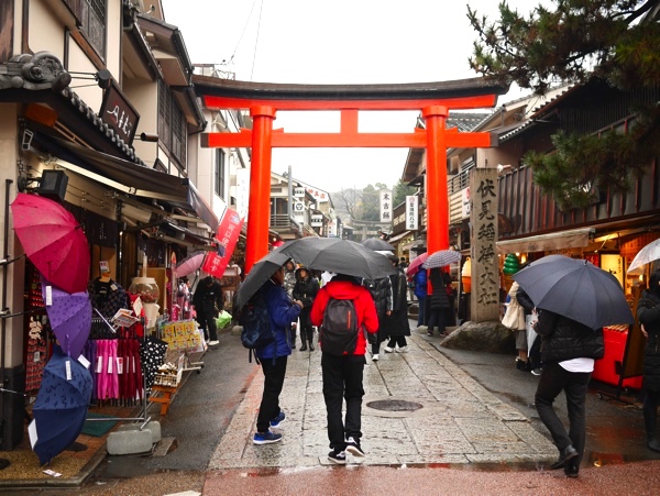 大人気の瑠璃光院 “雨の日観光“のススメ！そうだ 京都、行こう