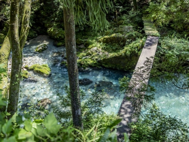 奇跡の清流 岐阜県円原川伏流水 : K2 HAIR