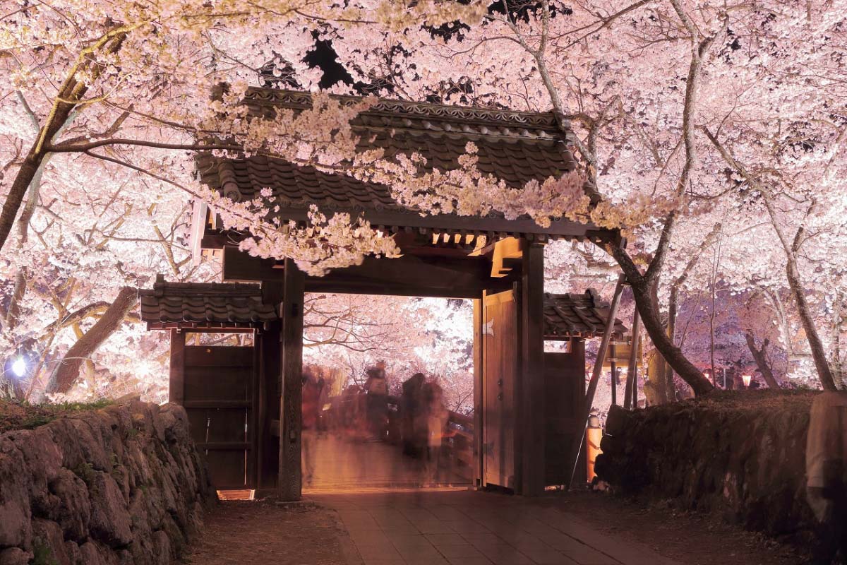永久保存版！春もおすすめな長野県の絶景スポット30選ZEKKEI Japan