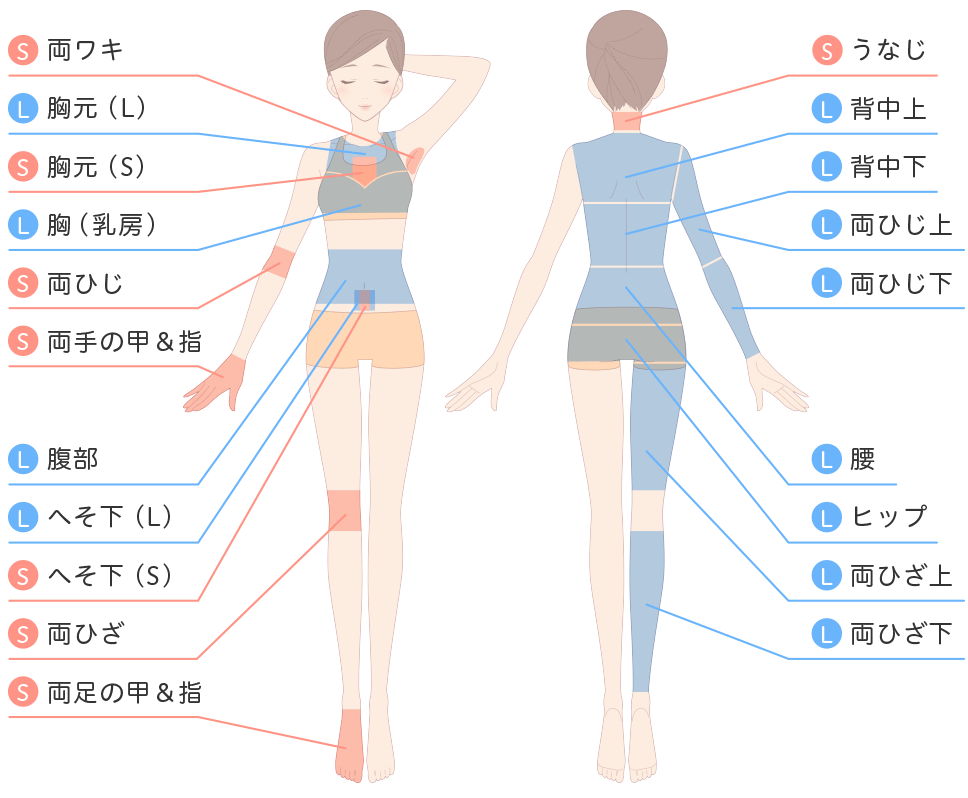 初回1000円で話題のメンズ脱毛『メンズ脱毛gram』が東京都、群馬県の脱毛をご利用の男性にアンケート！！人気脱毛部位ランキングを調査！！ |  株式会社ラナルータのプレスリリース