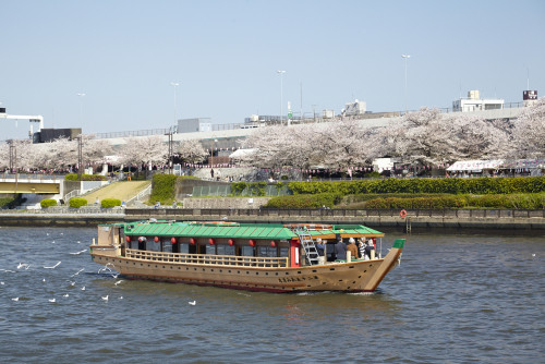 屋形船 あみ清 のお料理プラン 浅草 ・基本コース