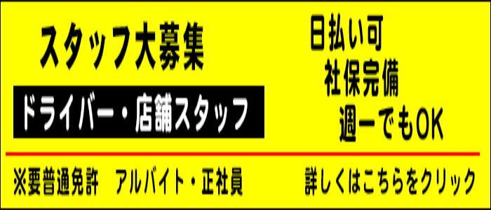 佐野市の風俗｜【体入ココア】で即日体験入店OK・高収入バイト