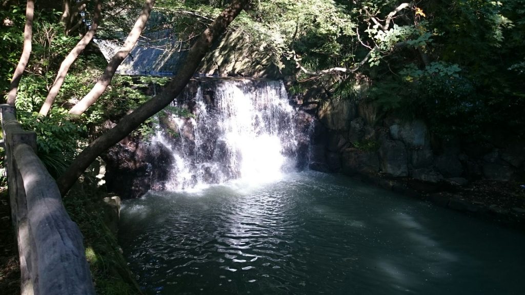 まさかりが淵市民の森 横浜市とは思えない！ワンコと楽しい水遊び・でもパパ大惨事！ 伝説の祟りかぁ？ ジャックラッセルテリア🐶