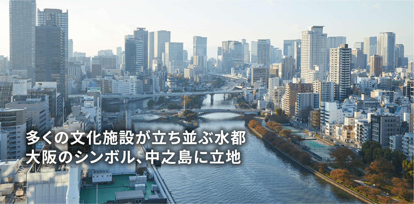 48年ぶりの一般公開！花見日和に大阪・万博記念公園「太陽の塔」の内部公開に行ってきた | ライターあぶんこの気ままに都あるき