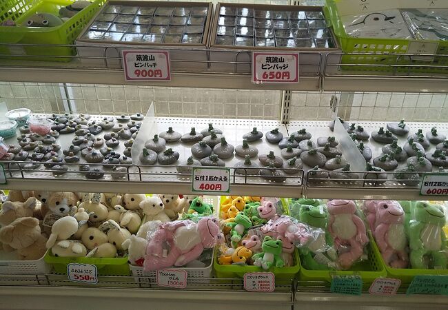 ケーブルカー直営コマ展望台～茨城県筑波山 : のら風絵日記リニューアル