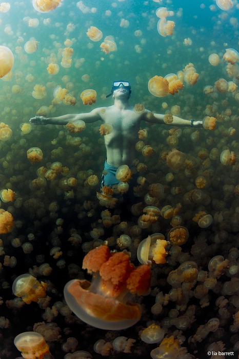 水中写真家」が対峙しているのは海の生き物だけじゃないんだな、という話いぬと海