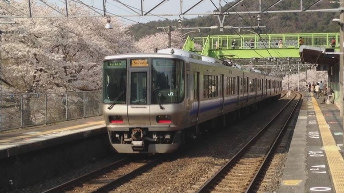 西日本完乗への道-関西JR編 27阪和線 山中渓駅 ～阪和府県境の桜の駅～ -
