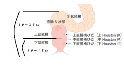 いまさら聞けない「シャワ浣」パーフェクトガイド