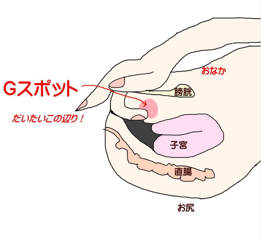 性感帯まとめ】女子のセックスの本音｜感じる場所は十人十色♡私たちの性感帯や好きな体位はこれ！ - with class -講談社公式-