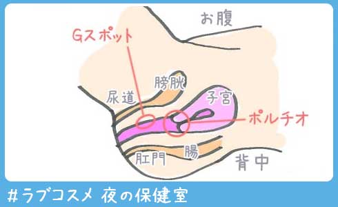 膣の特徴別！ポルチオ開発に適した体位診断 - 夜の保健室