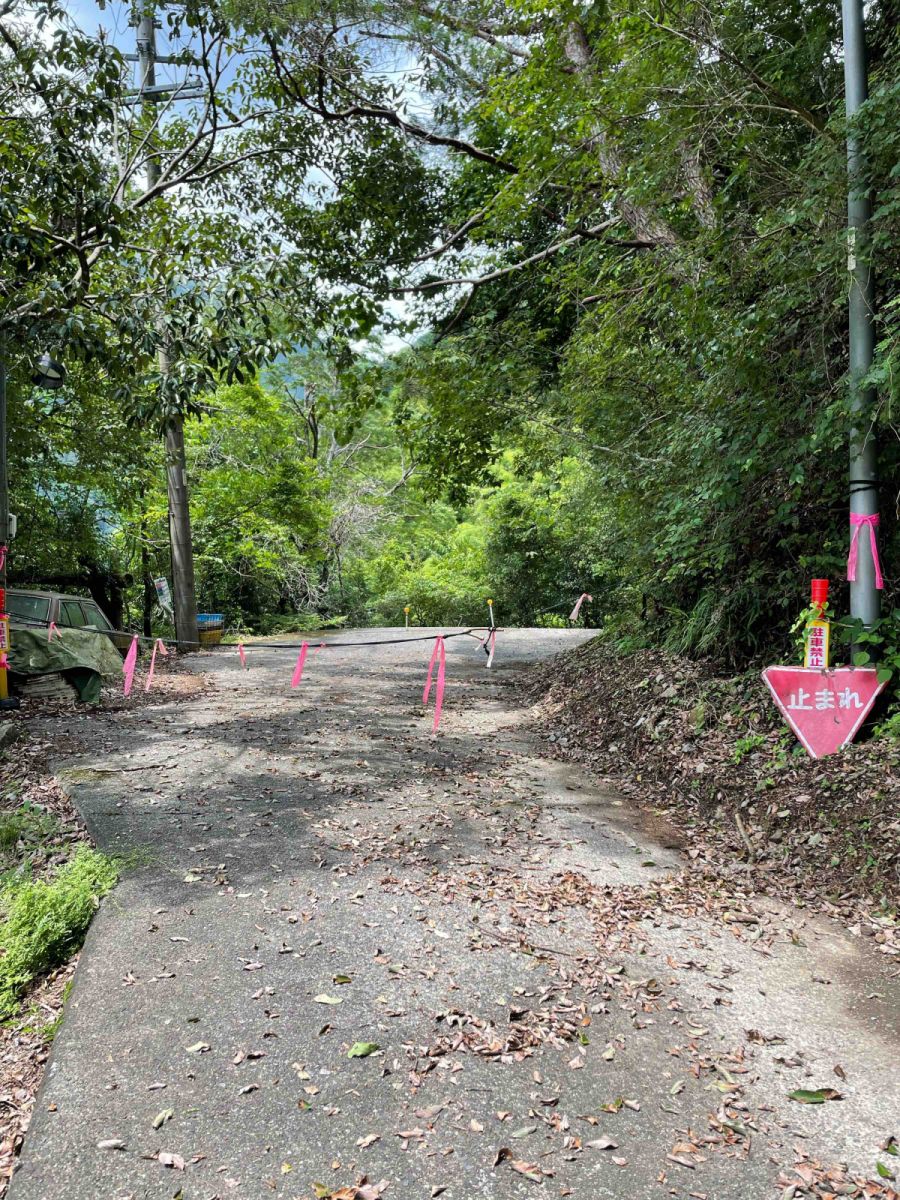 飯田線魅力発見！ACEトレッキング ～環境課の巻～南信州お散歩日和