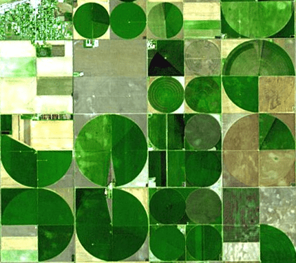 ６年・社会 アメリカの農業をしらべてみよう : 30代転職組・新間草海先生の『叱らないでもいいですか』