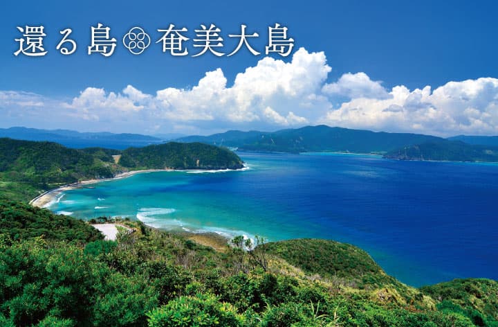 世界自然遺産登録間近！ 奄美大島 鹿児島県旅のひろばワールド航空サービス