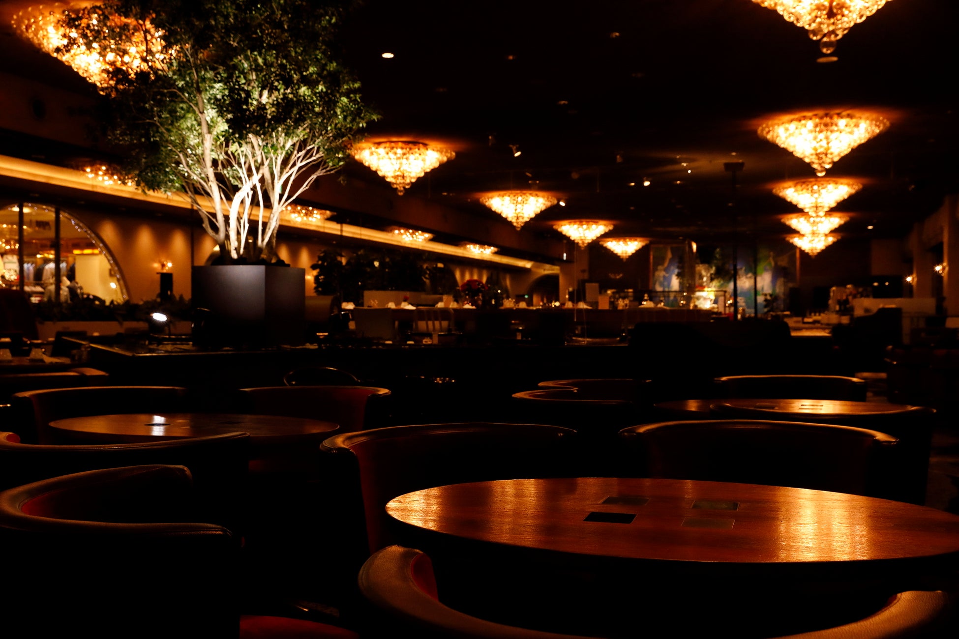 ホテルニューオータニ」で庭園を桜色に染める「東京『夜桜』ライトアップ」を初開催！楽天トラベル