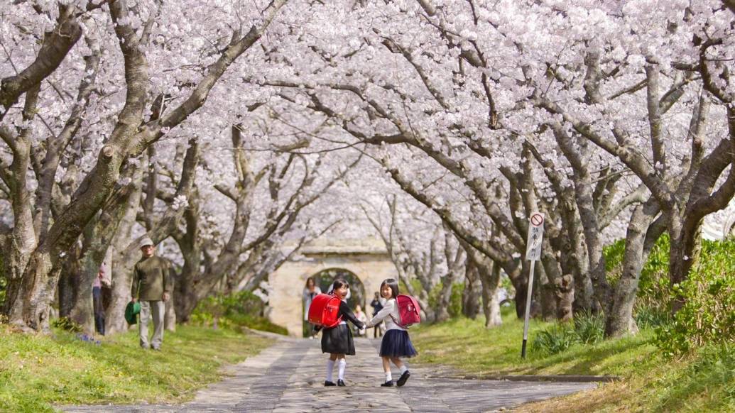 四季折々で癒される。 佐賀の絶景スポット春～夏編記事公式 佐賀県観光サイト あそぼーさが