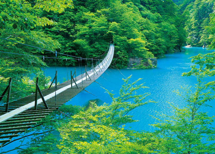 寸又峡 夢の吊橋大井川で逢いましょう